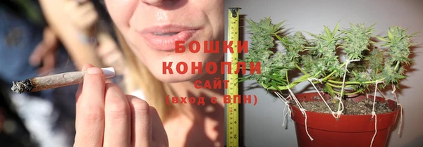 шишки Куйбышев