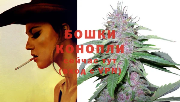 apvp Кукмор