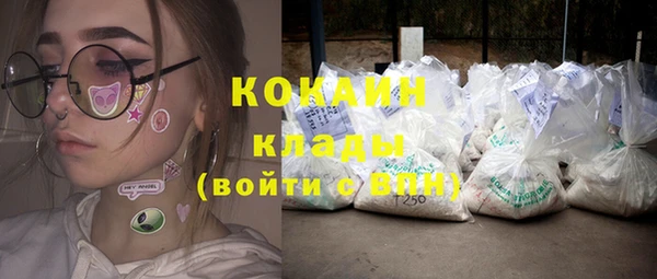 apvp Кукмор